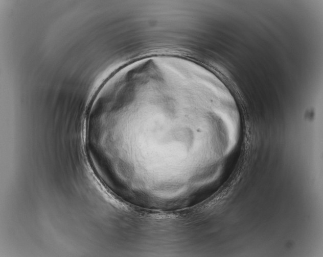 X0000115020804200911091441