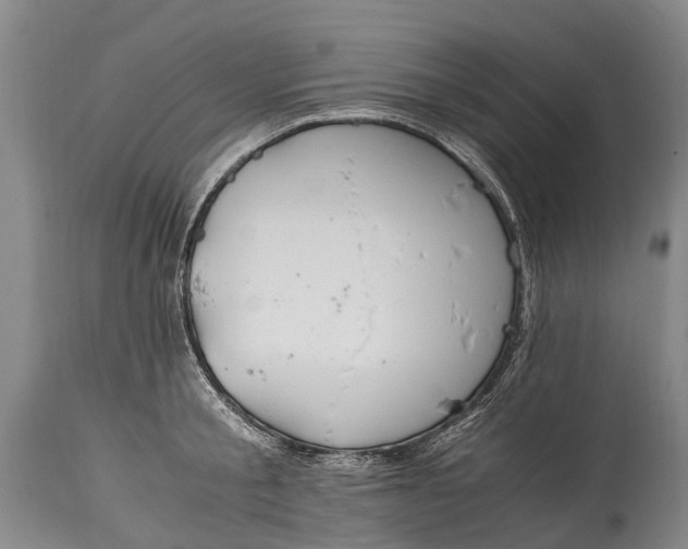 X0000115020805200911091441