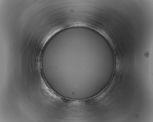 X0000115020806200911091441
