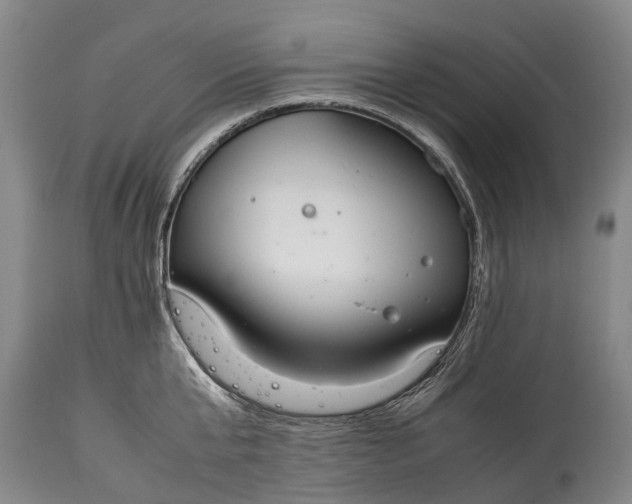 X0000115020807200911091441