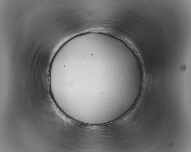 X0000115020808200911091441