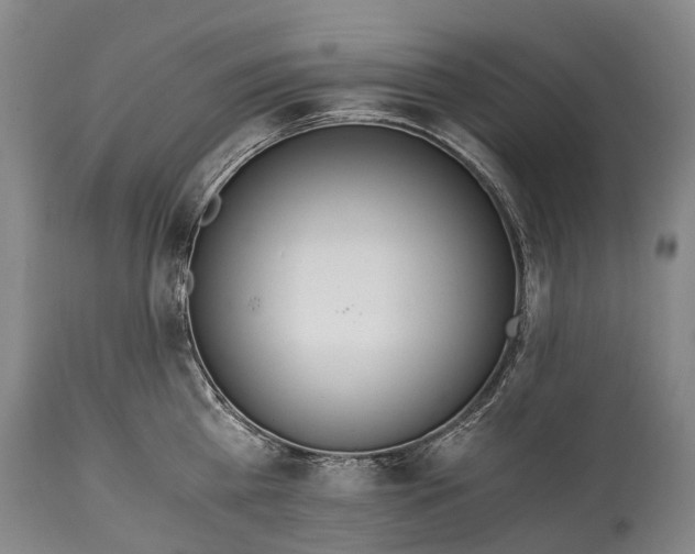 X0000115020809200911091441