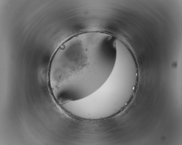 X0000115020810200911091441