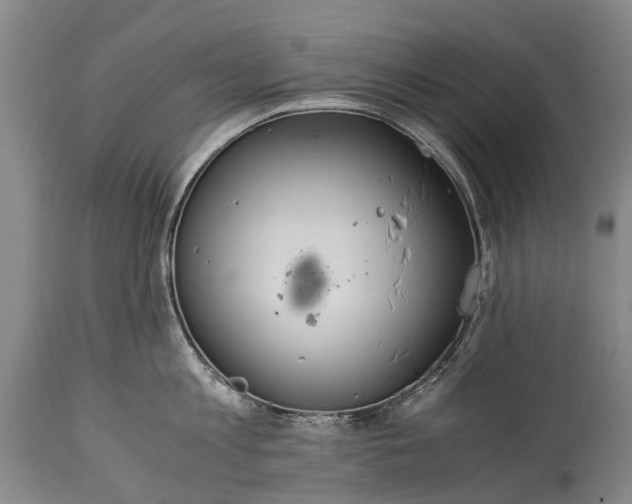 X0000115020813200911091441