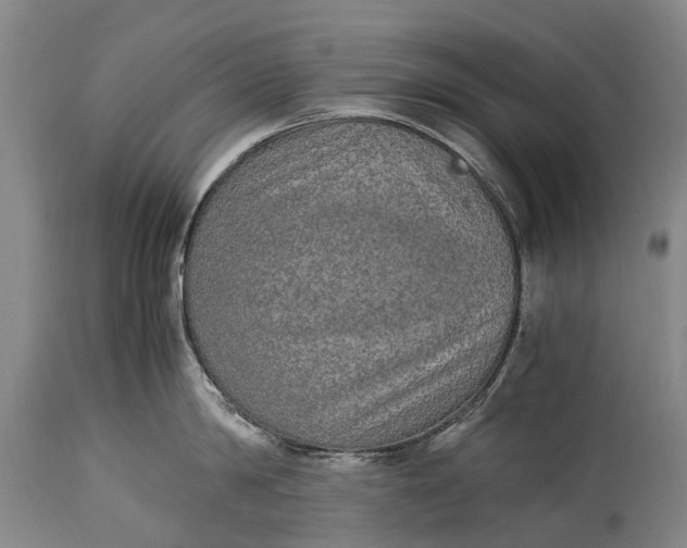 X0000115020814200911091441