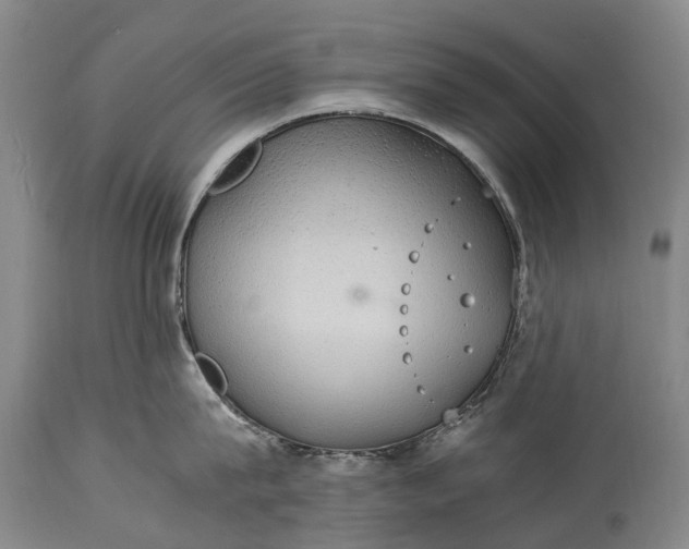 X0000115020815200911091441