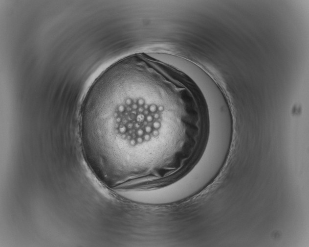 X0000115020816200911091441
