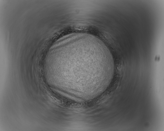 X0000115020817200911091440