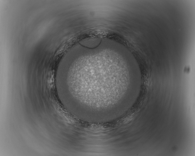 X0000115020818200911091440