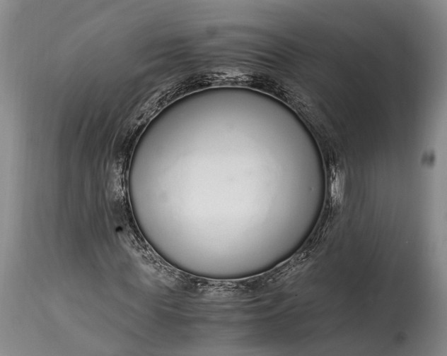 X0000115020819200911091440