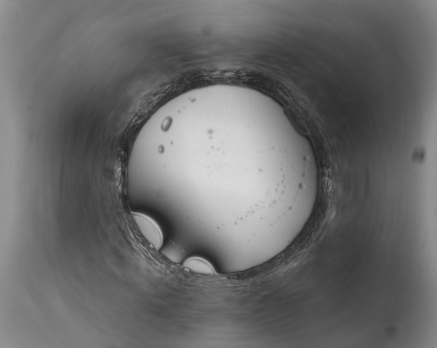 X0000115020820200911091440