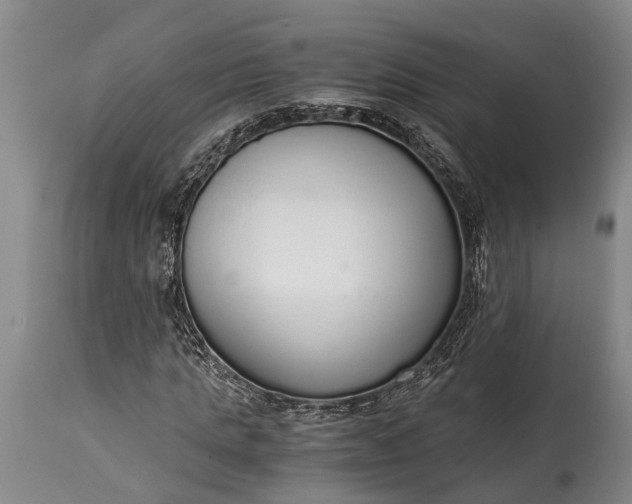 X0000115020821200911091440