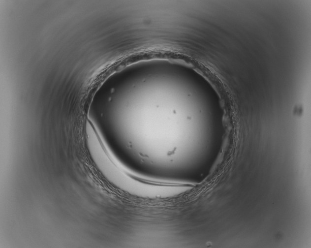 X0000115020824200911091440