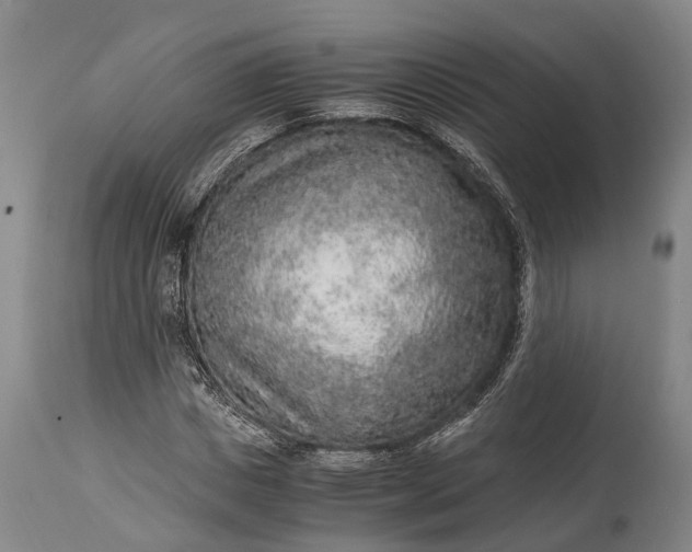 X0000115020825200911091440