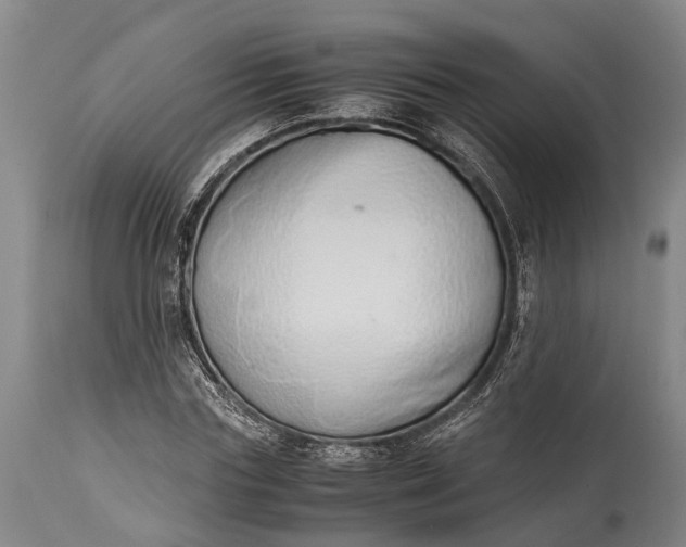 X0000115020827200911091441