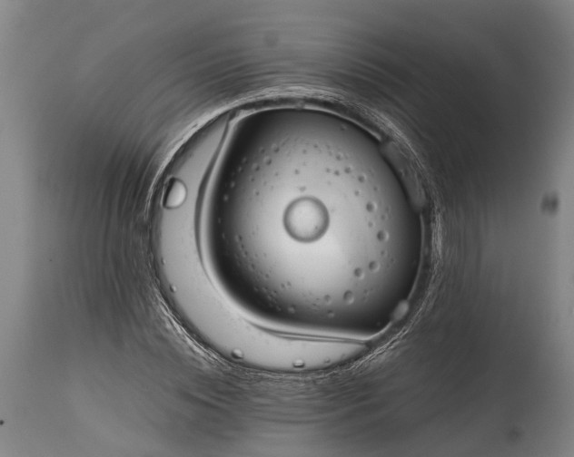 X0000115020828200911091441