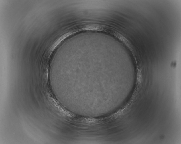 X0000115020829200911091441