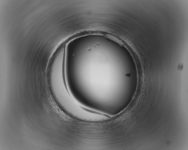 X0000115020832200911091441