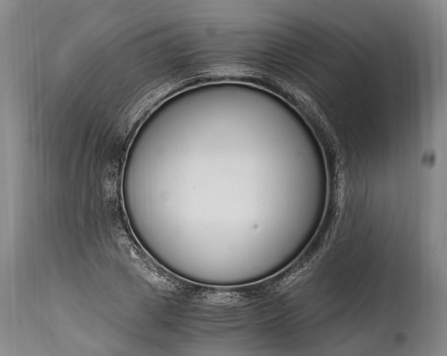 X0000115020833200911091441