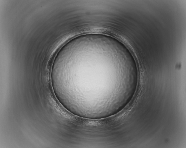 X0000115020835200911091441