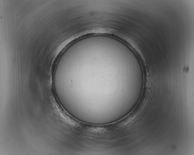 X0000115020837200911091441