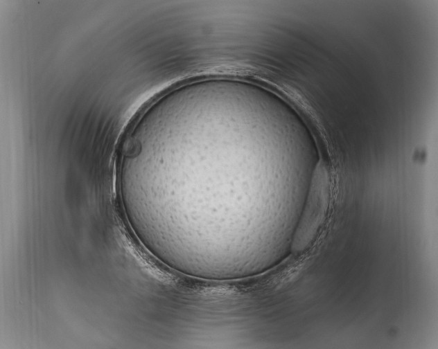 X0000115020838200911091441