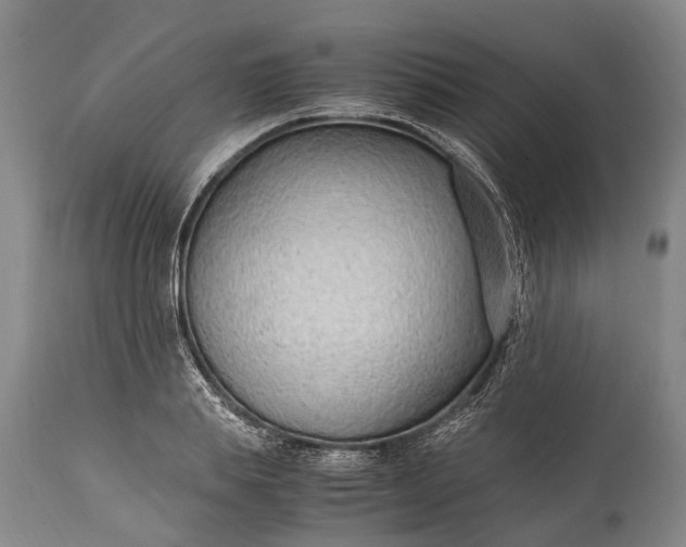 X0000115020839200911091441