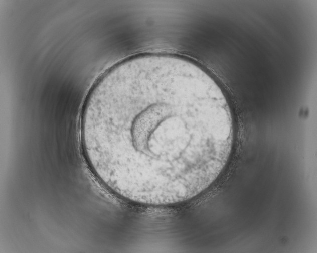 X0000115020840200911091441