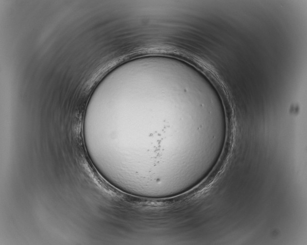 X0000115020841200911091441