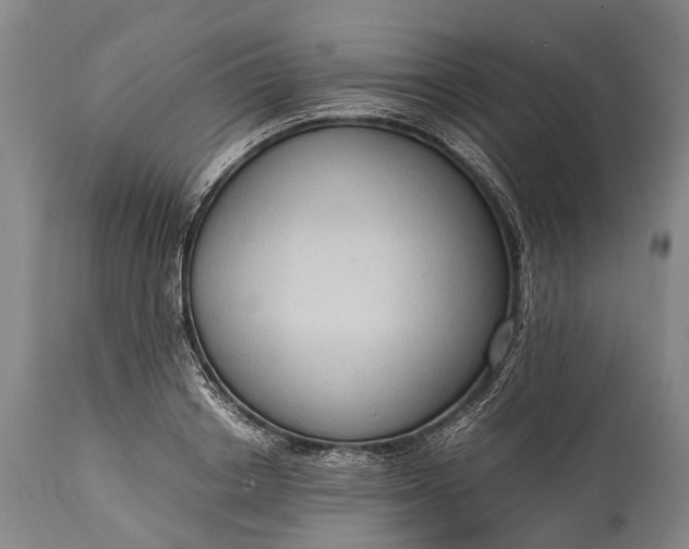 X0000115020842200911091441