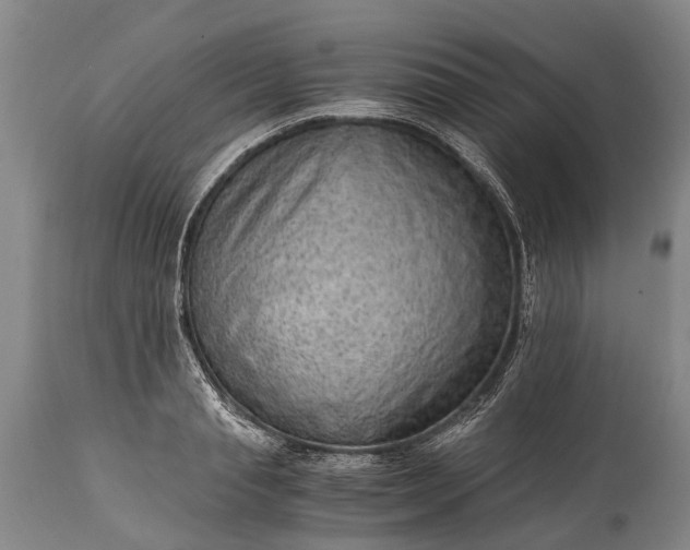 X0000115020845200911091441