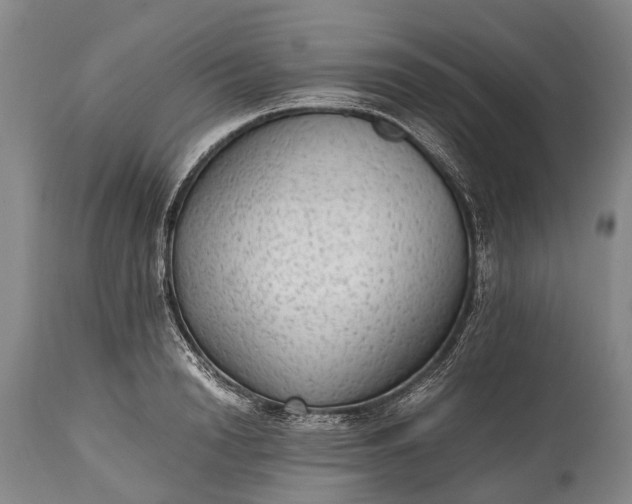 X0000115020846200911091441