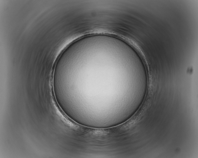 X0000115020847200911091441