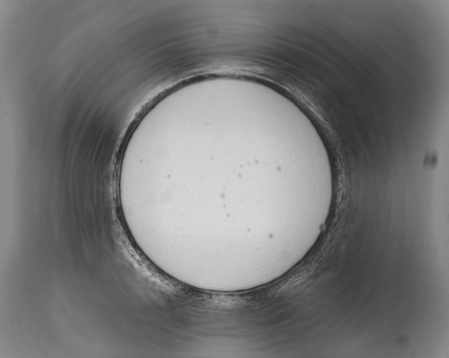 X0000115020848200911091441