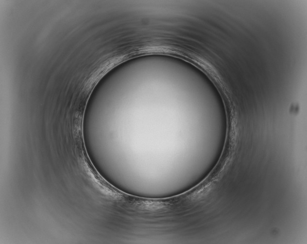 X0000115020849200911091441