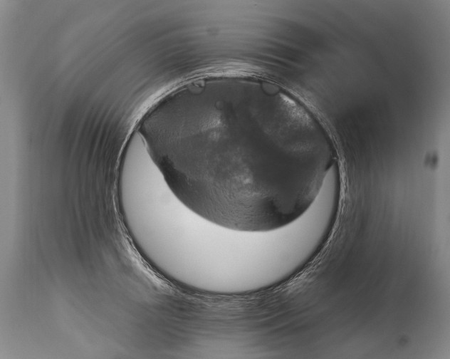 X0000115020850200911091441