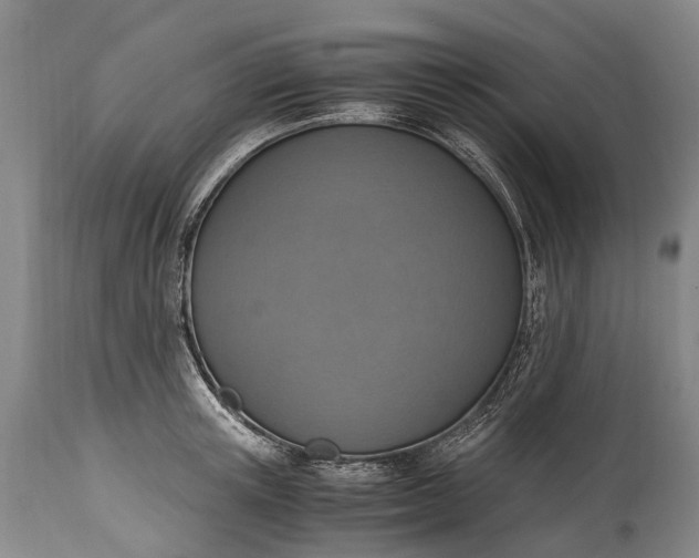 X0000115020851200911091441