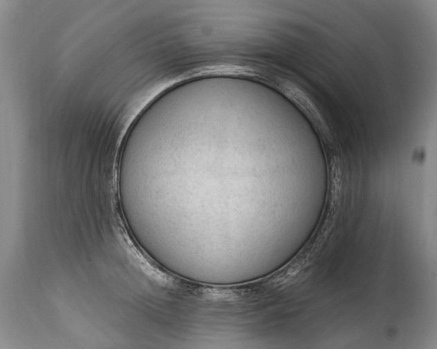 X0000115020852200911091441