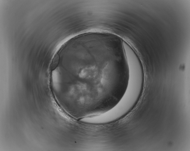 X0000115020854200911091441
