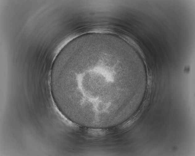 X0000115020855200911091441