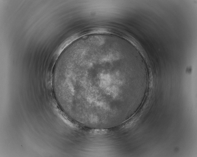 X0000115020858200911091441