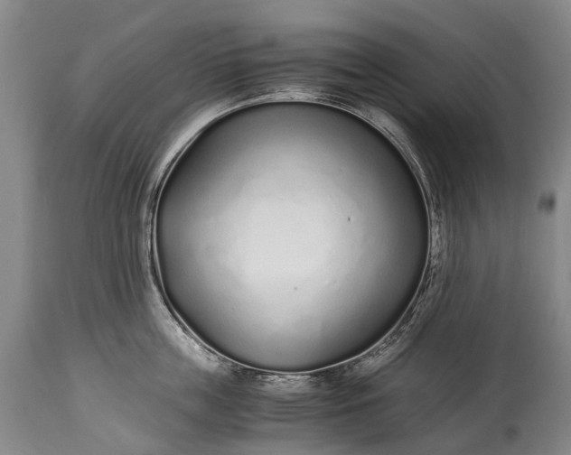 X0000115020859200911091441