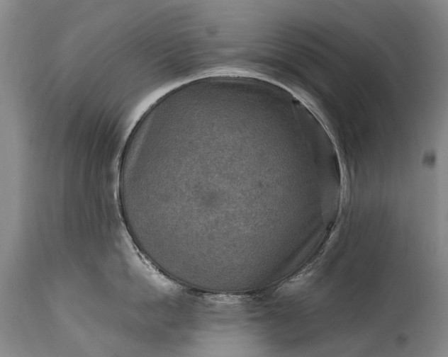 X0000115020862200911091441