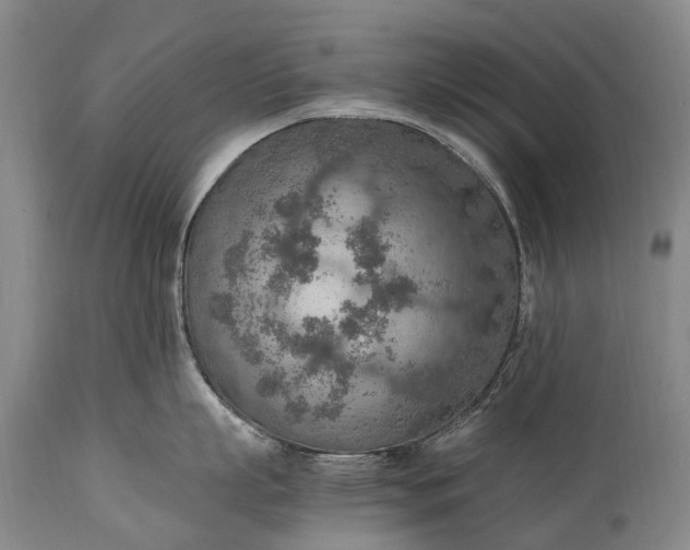X0000115020863200911091441