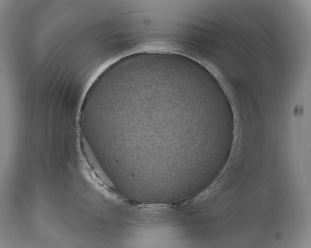X0000115020864200911091441
