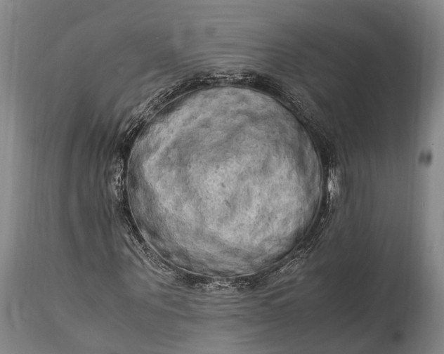 X0000115020867200911091440