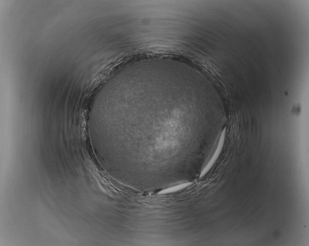 X0000115020868200911091440