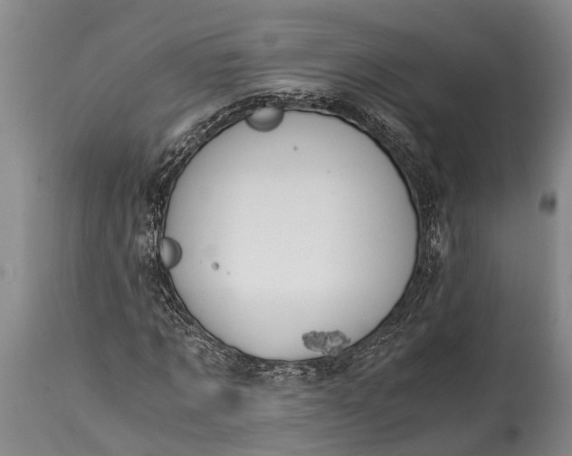 X0000115020869200911091440