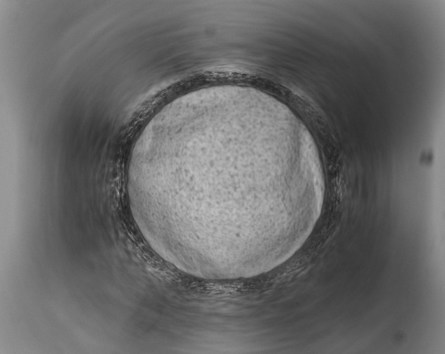 X0000115020870200911091440