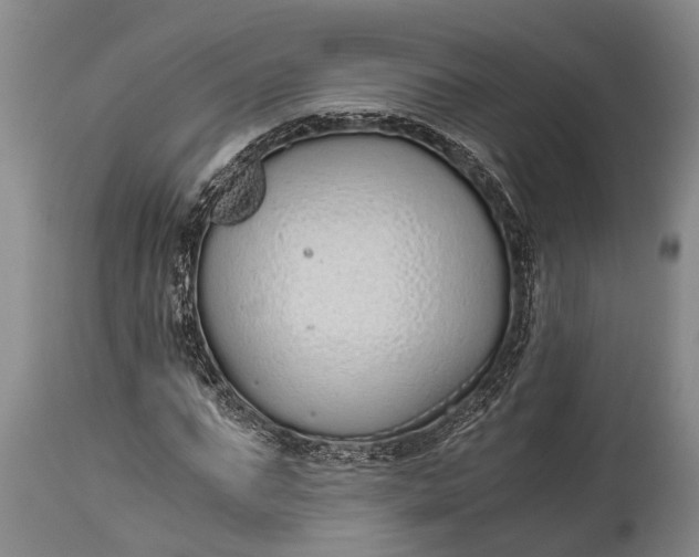 X0000115020871200911091440